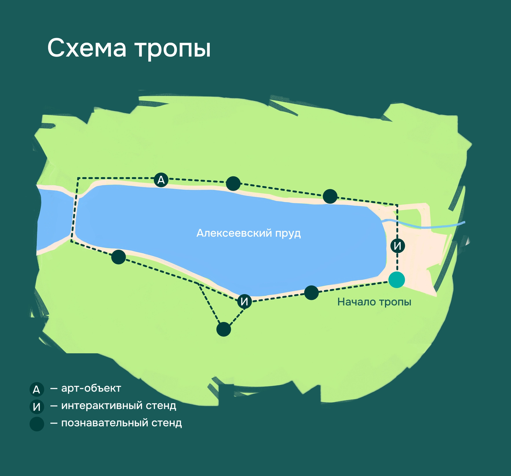 Схема экотропы вокруг восточной части Алексеевского пруда